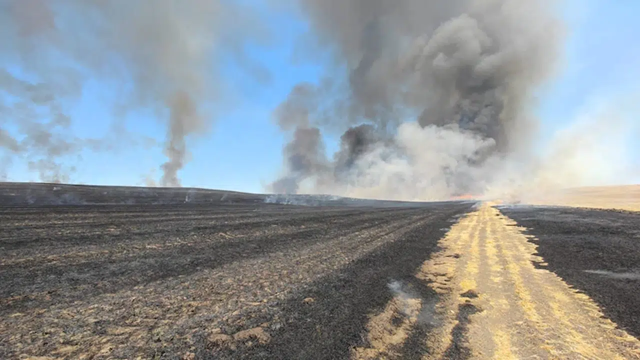 Diyarbakır’da anız yangınında 500 dönüm alan zarar gördü