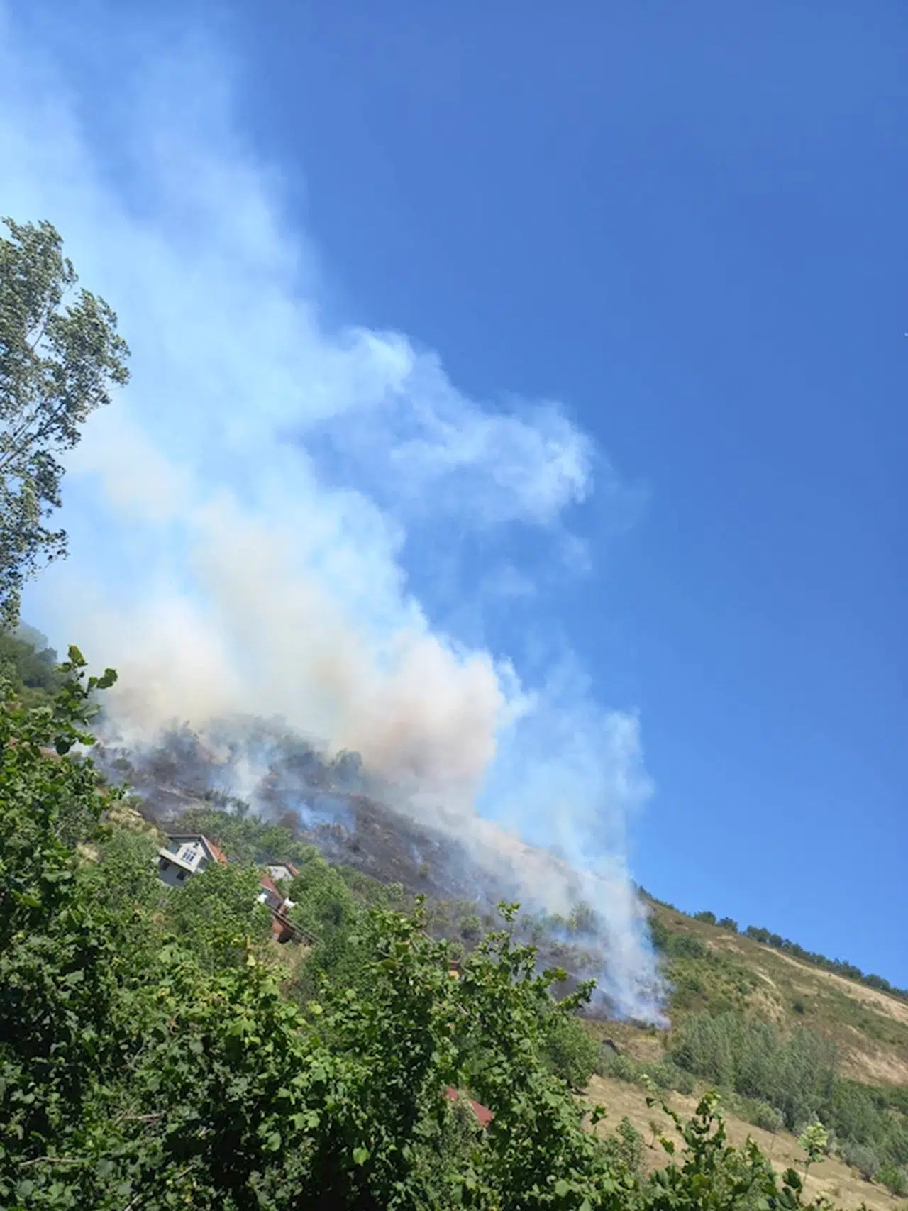Kastamonu'da orman yangını 3 saatte söndürüldü