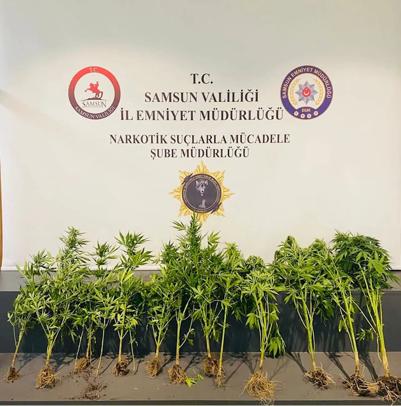 Samsun'da uyuşturucu operasyonunda 2 zanlı yakalandı