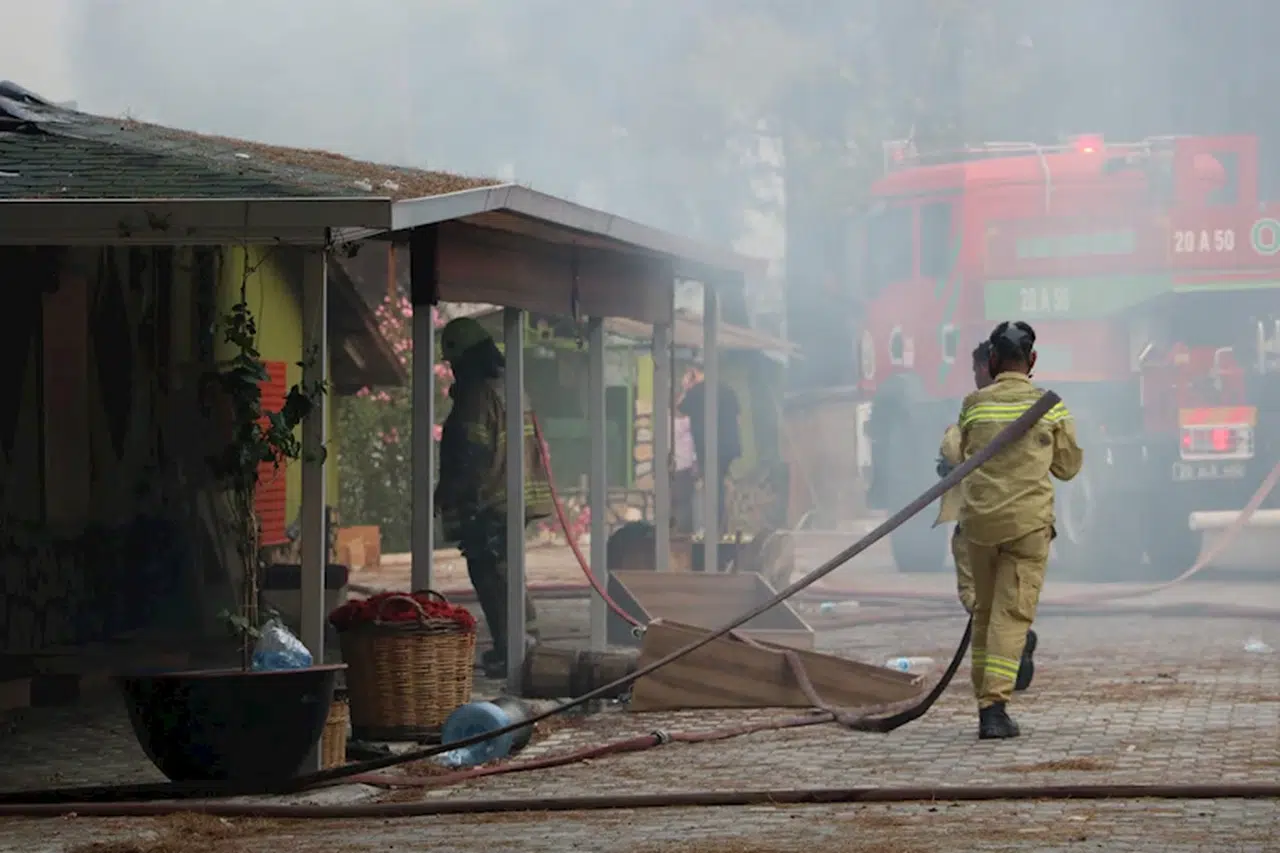 Selçuk'ta çıkan orman yangını Kuşadası'na da sıçradı (2)