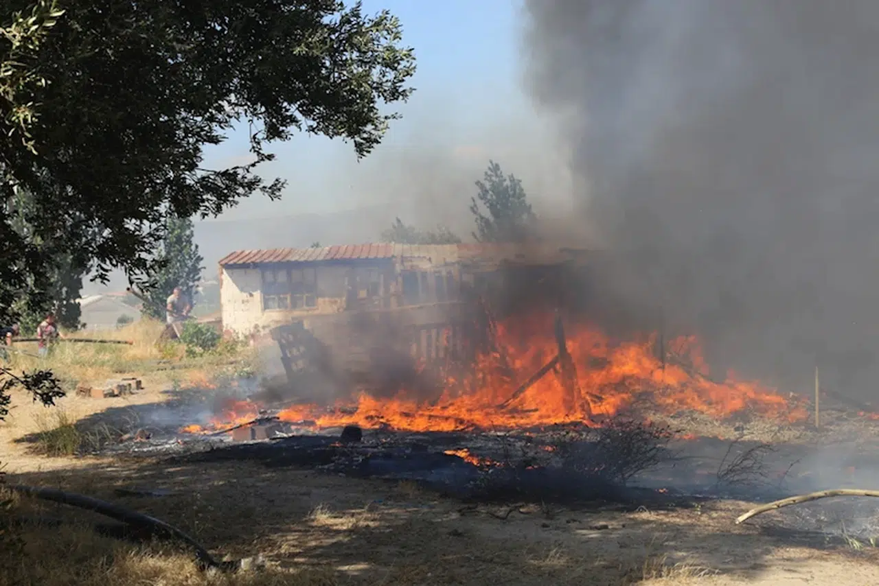 Ayvalık'ta çöplükte çıkıp otluk ve zeytinliğe sıçrayan yangın, 4 saatte söndürüldü