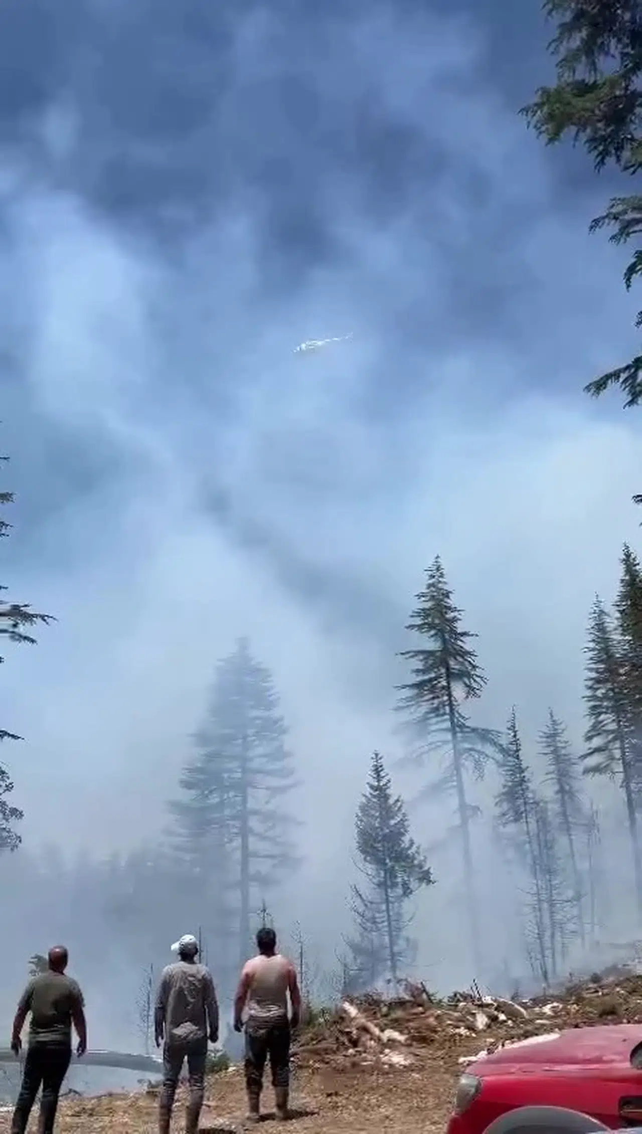 Karaman Ermenek'te orman yangını 