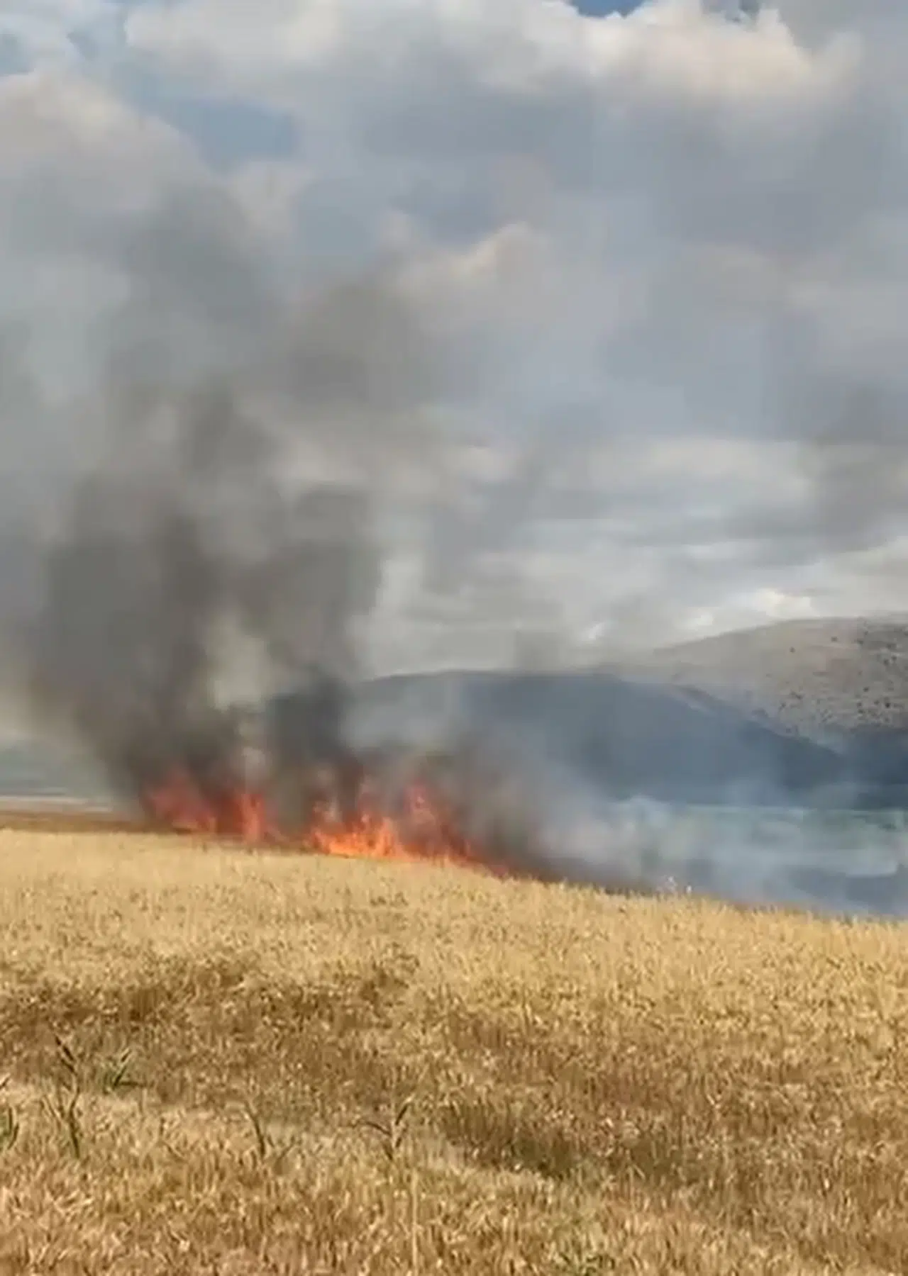 Tokat'ta ekili 10 dönüm buğday yandı