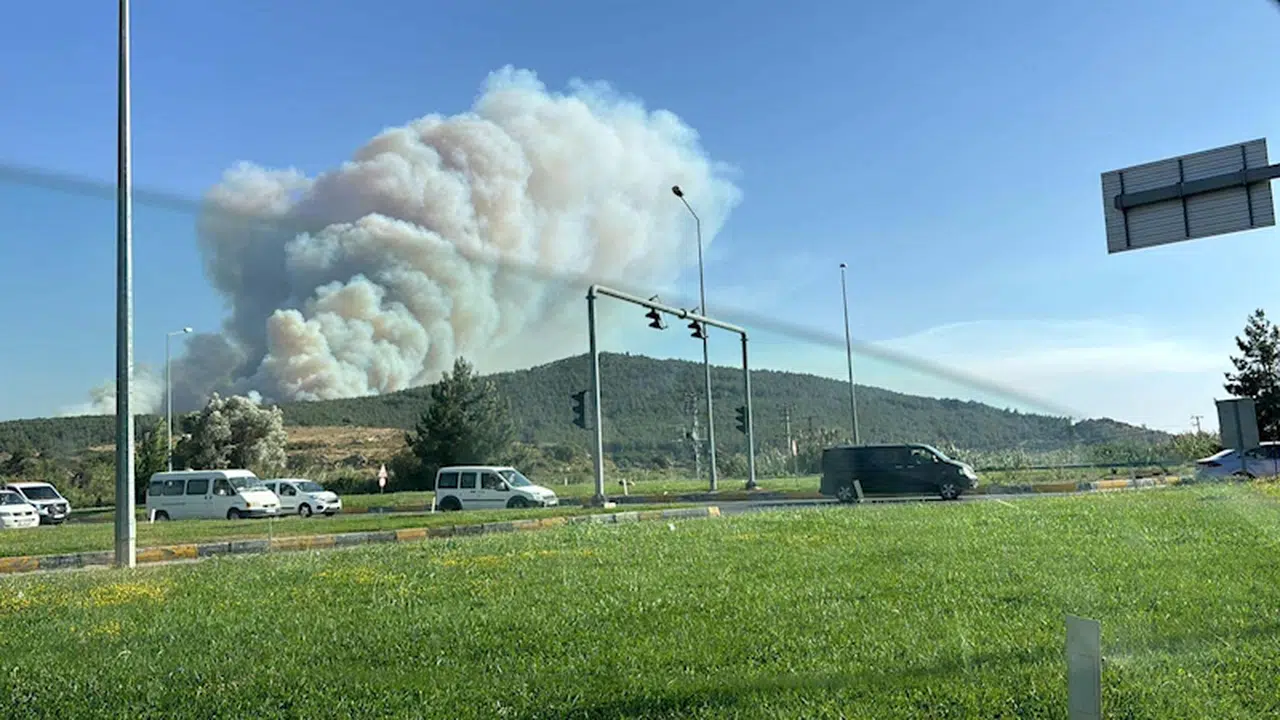 Selçuk'ta çıkan orman yangını Kuşadası'na da sıçradı/ Ek fotoğraflar