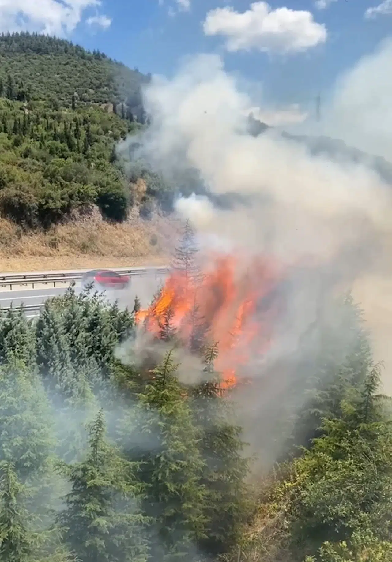 Otoyol kenarındaki ağaçlar yandı; trafik kısa süre durdu