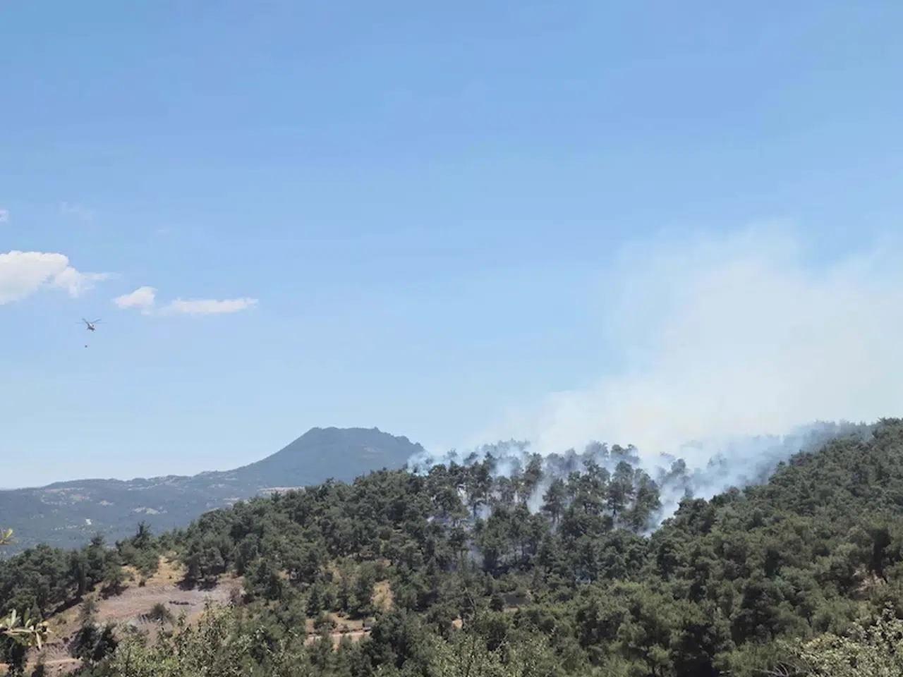 Balıkesir'de orman yangını (2)