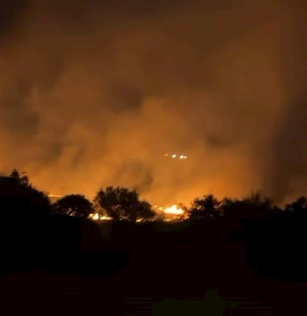 Seferihisar'da çıkan orman yangını 3 saatte söndürüldü