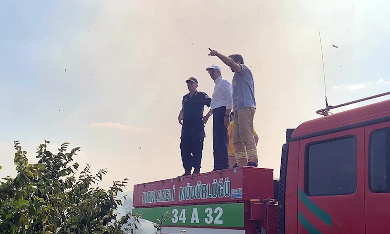 Edirne'de buğday tarlasında çıkan yangın, ağaçlara sıçradı (2)