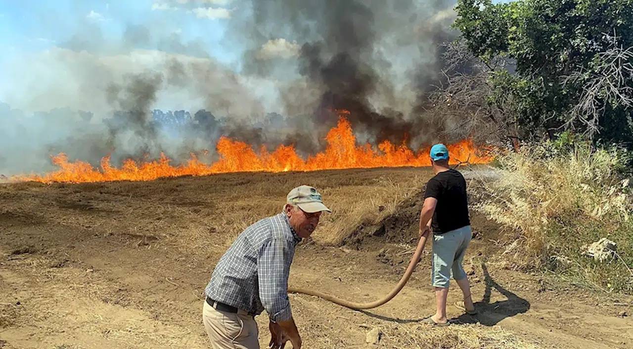  Edirne'de buğday tarlasında çıkan yangın, ağaçlara sıçradı