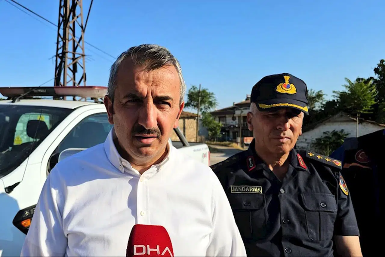 Edirne'de buğday tarlasında çıkan yangın, ağaçlara sıçradı (3)