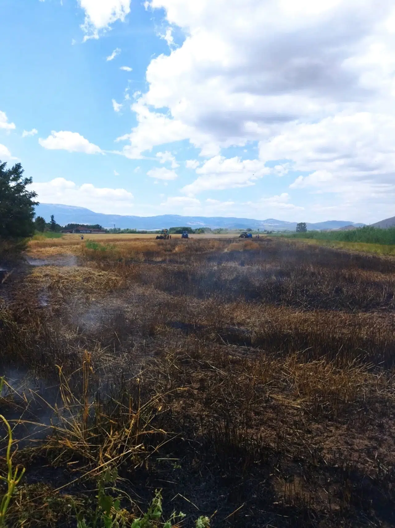 Tokat'ta buğday tarlasında çıkan yangın zarara yol açtı