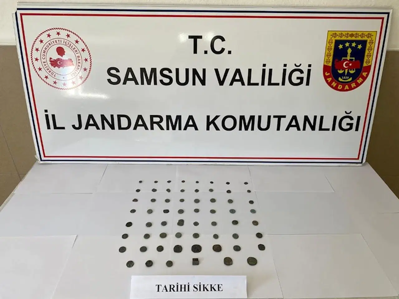 Samsun'da tarihi eser operasyonunda 1 zanlı yakalandı