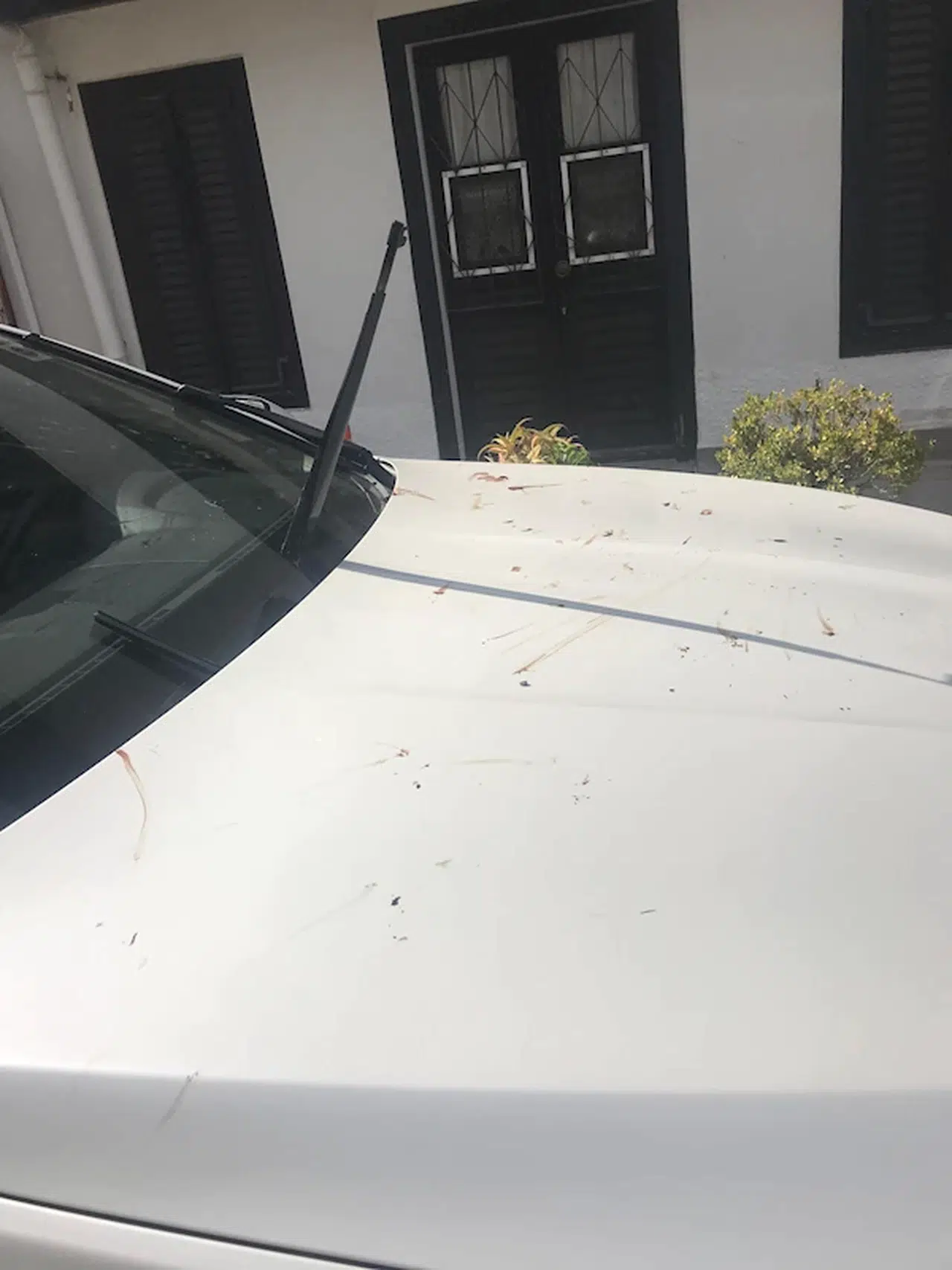 Finike'de belediye başkanının makam aracına zarar veren şüpheliye gözaltı