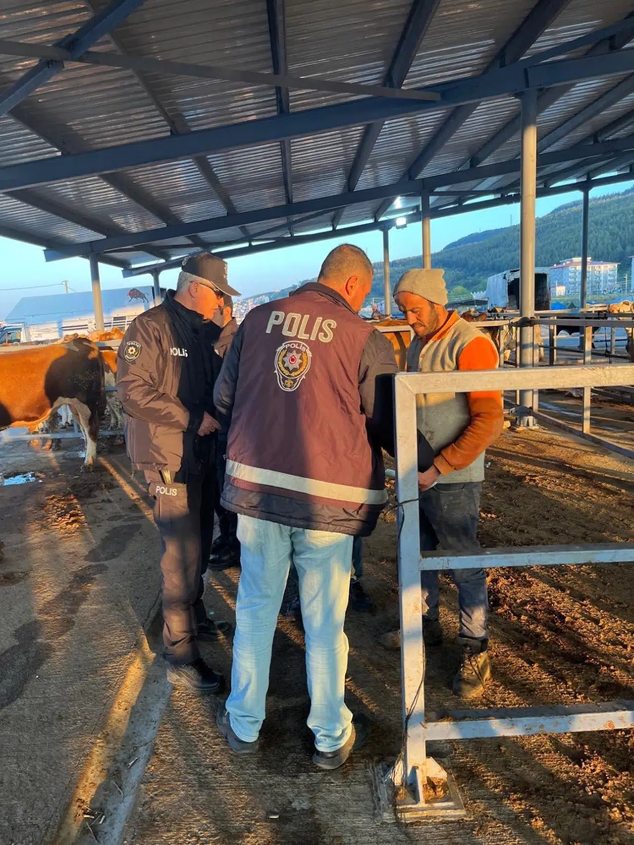 Gerede'de polis ekipleri, hayvan pazarında sahte parayla dolandırıcılık ihtimaline karşı uyardı