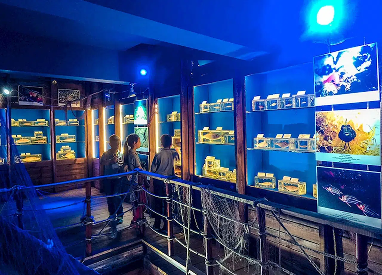 Çocukları korkutan sözde müzeye üst mahkemeden de kötü haber