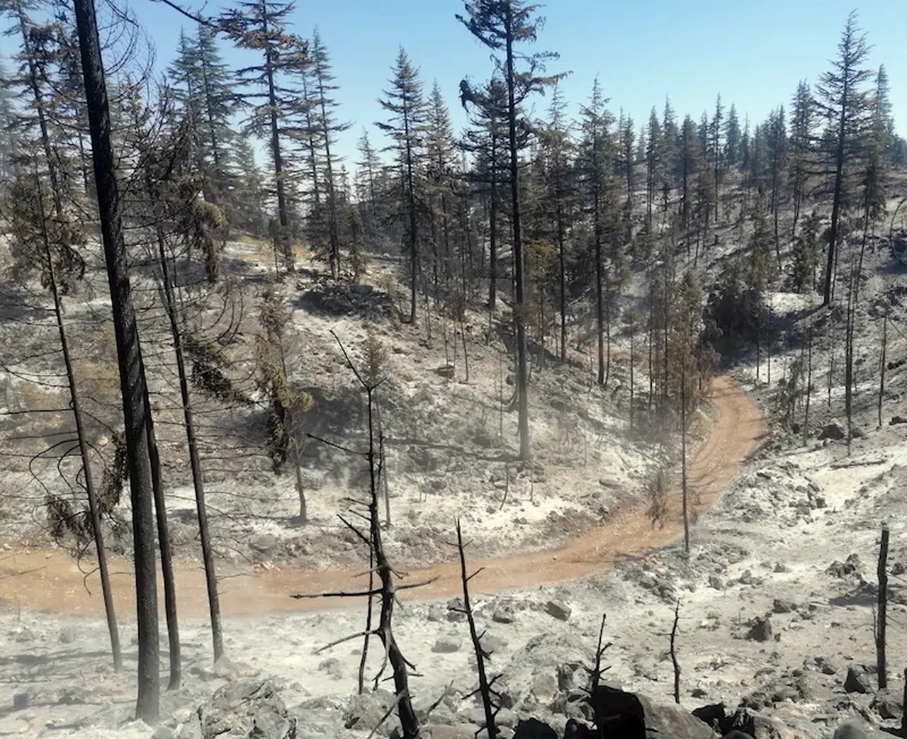Karaman'daki orman yangını kontrol altına alındı