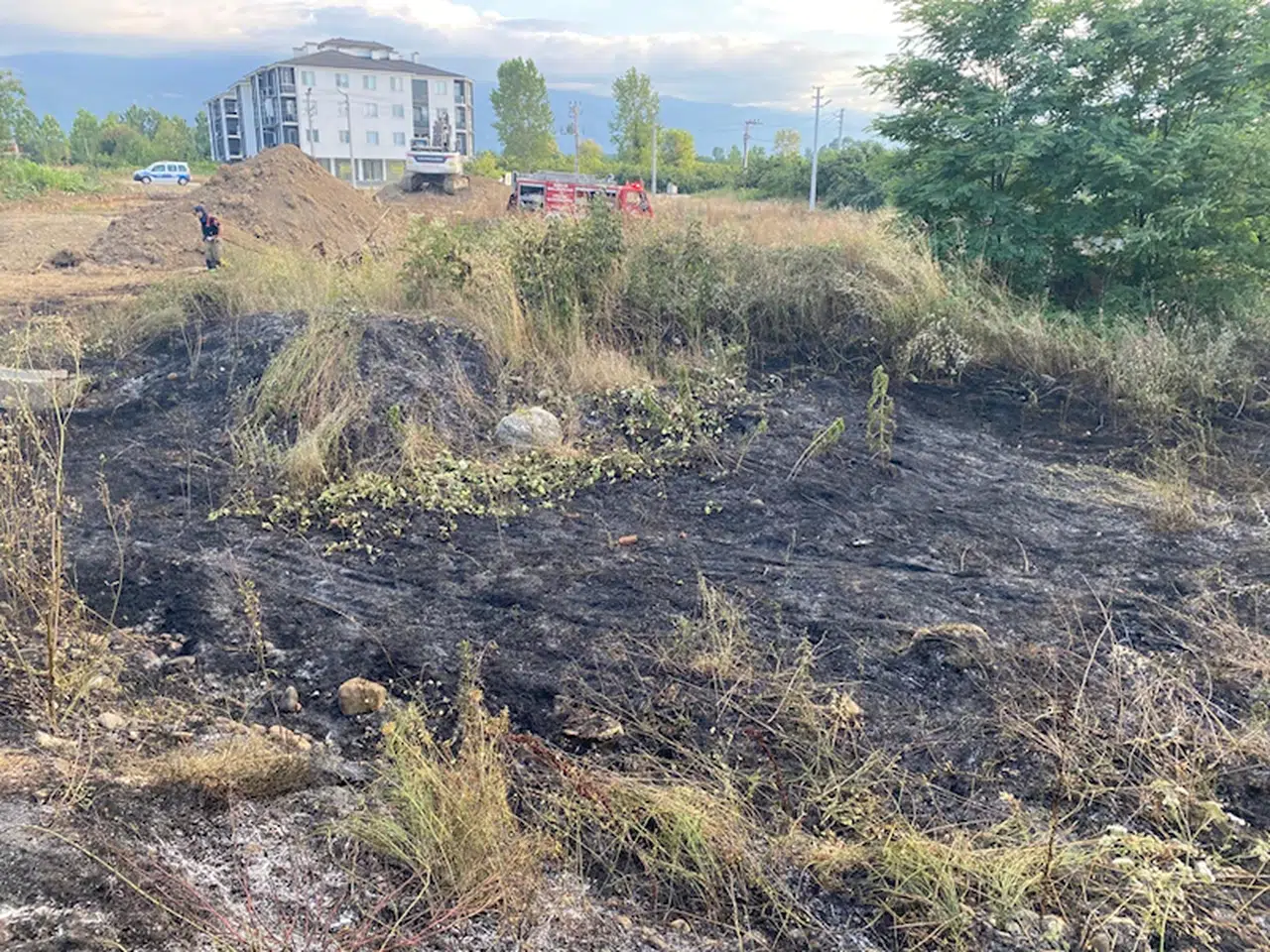 Düzce'de çalılık alanda çıkan yangın söndürüldü
