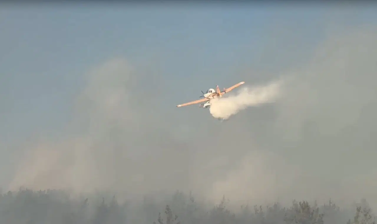 Bursa'da anız yangını, BUÜ kampüsünün de içinde olduğu ormana sıçradı (6)