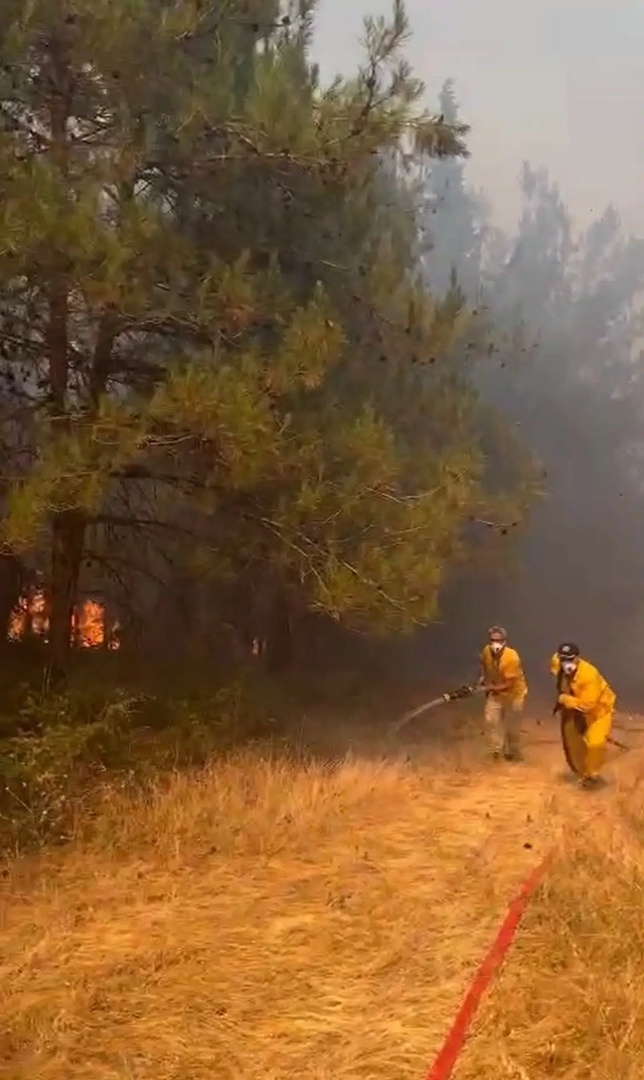 Bursa'da anız yangını, BUÜ kampüsünün de içinde olduğu ormana sıçradı (4)