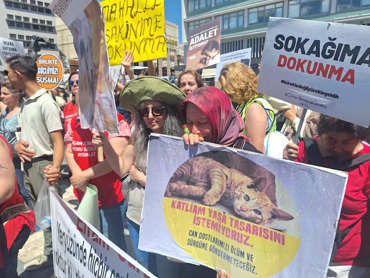 Hayvanseverlerden 'yasal düzenleme' tepkisi