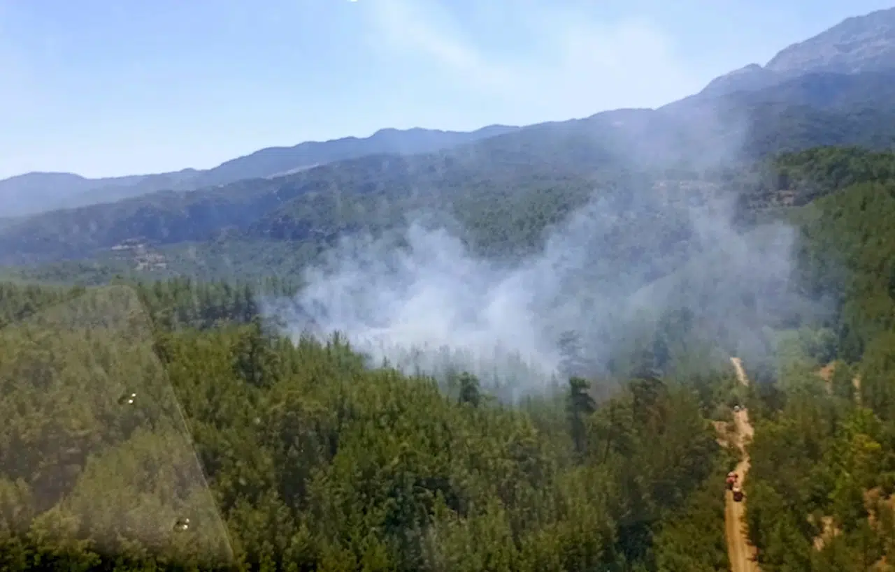 Tazı Kanyonu'nda çıkan orman yangını söndürüldü