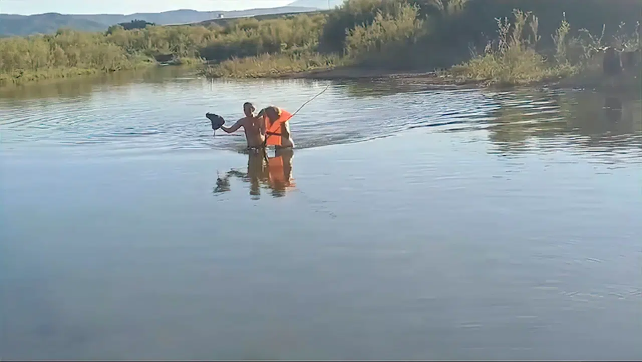 Bingöl’de debisi yükselen Murat Nehri’nde mahsur kalan çoban ve 60 koyun, kurtarıldı