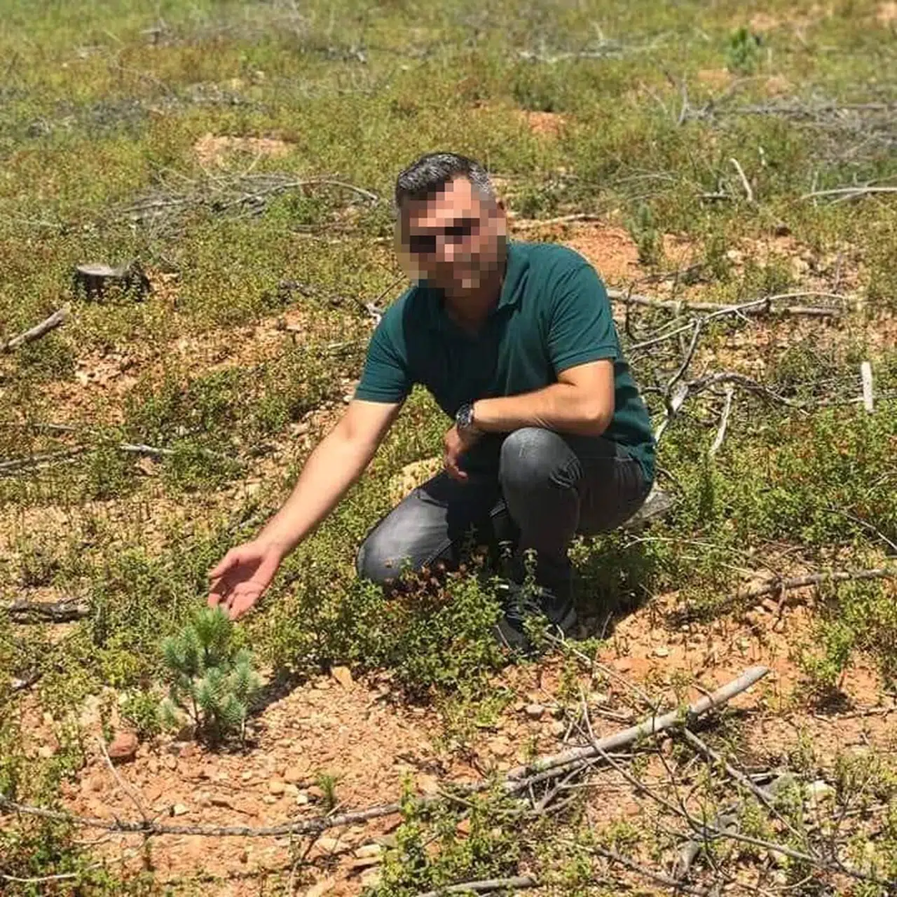 Manavgat Orman İşletme Müdürlüğü’nde hibe ağaçların satışına zimmet soruşturması; 11 gözaltı