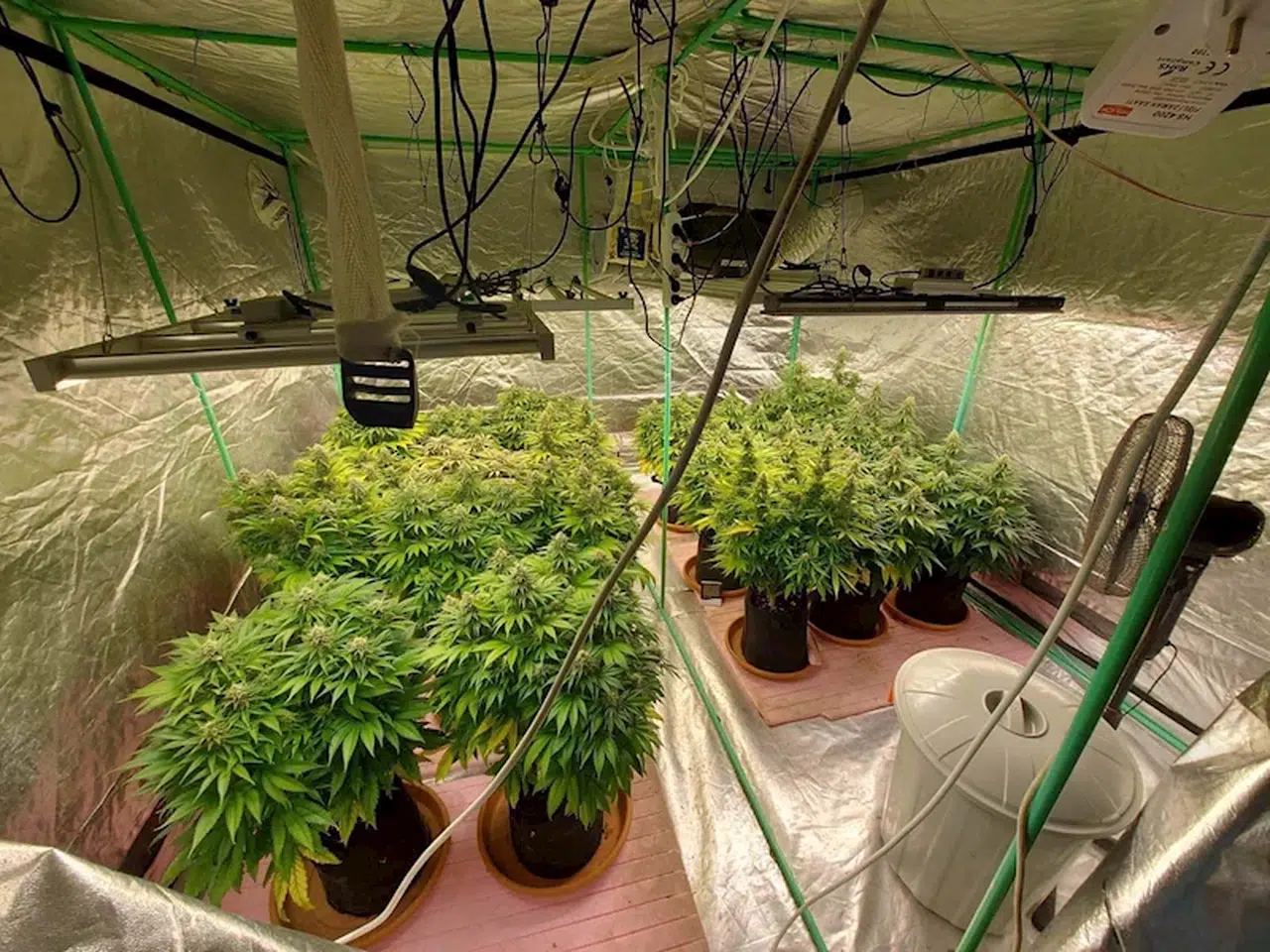 İzmir'de jandarmanın geçen ay düzenlendiği uyuşturucu operasyonlarında, 9 şüpheliye tutuklama