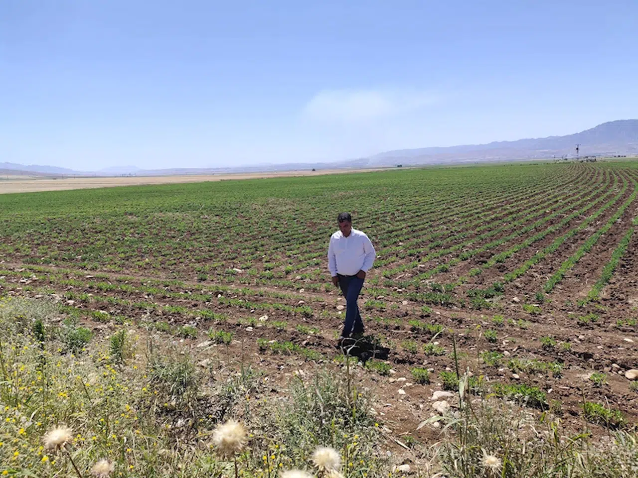 Silopi’ye ‘Sera Organize Tarım Bölgesi’ 