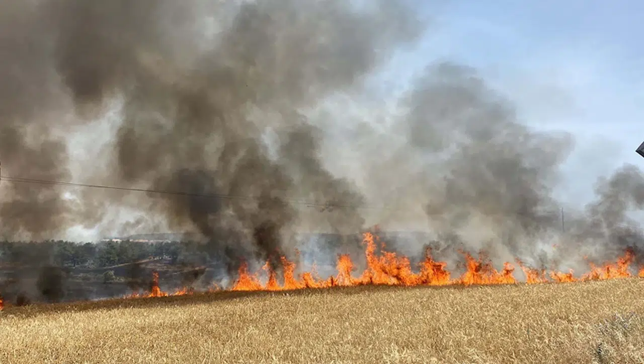 Çanakkale'de anız yangını, tarım arazisi ve ormana sıçradı