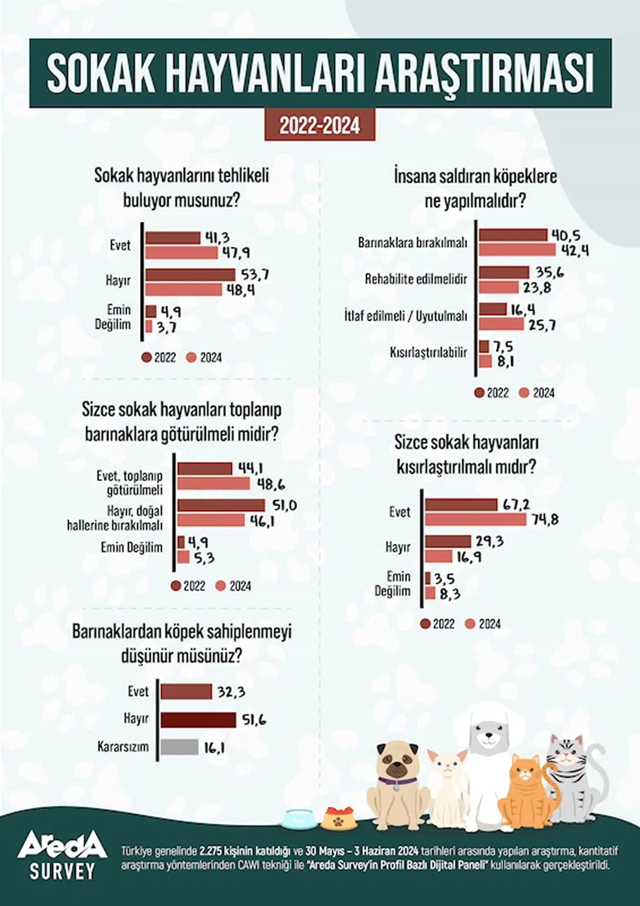 Araştırma: Türk halkının yüzde 47,9’u sokak hayvanlarını tehlikeli buluyor