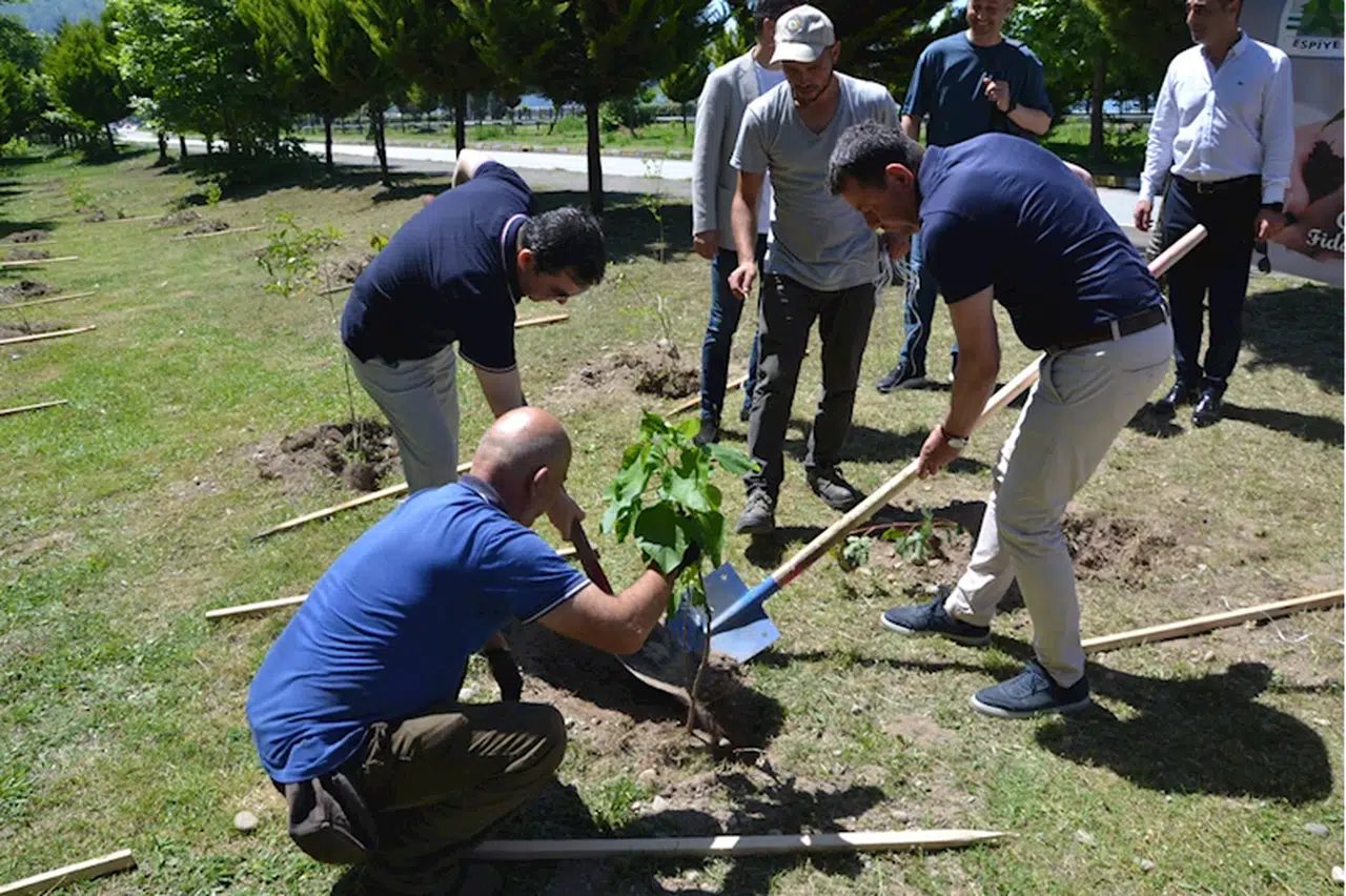 Espiye'de "Dünya Çevre Günü" etkinliği düzenlendi