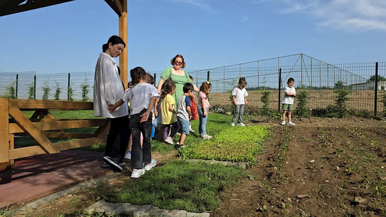 Düzce'de çocuklar hobi bahçesinde sebze yetiştirerek çevre bilinci kazanıyor