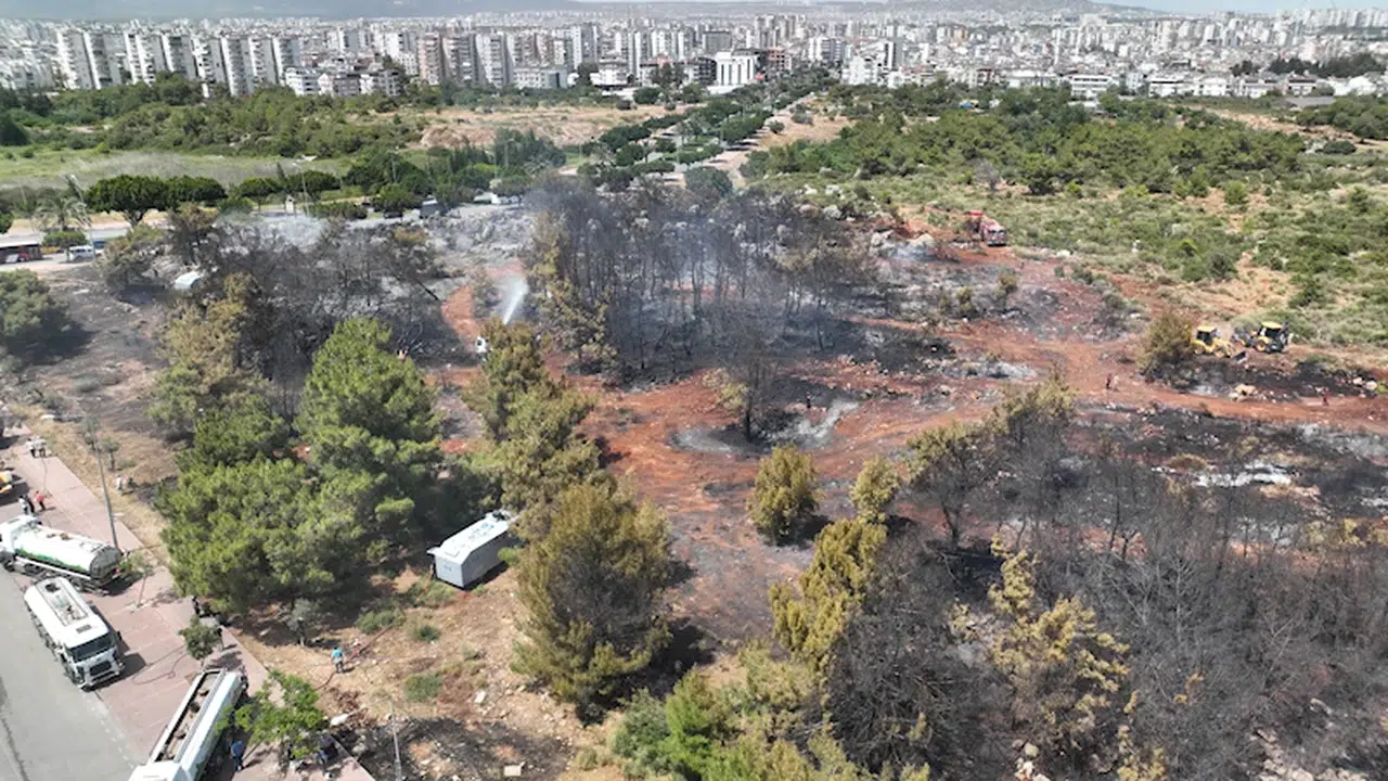 Antalya'da iki ayrı noktada yangın / Ek fotoğraflar