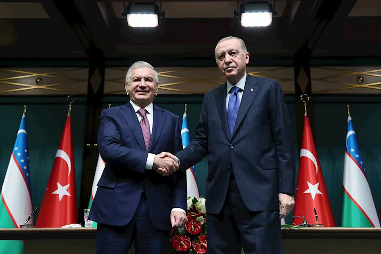 Cumhurbaşkanı Erdoğan: Vicdan ve sorumluluk sahibi olan tüm kesimlerin ellerini taşın altına koymaya davet ediyorum