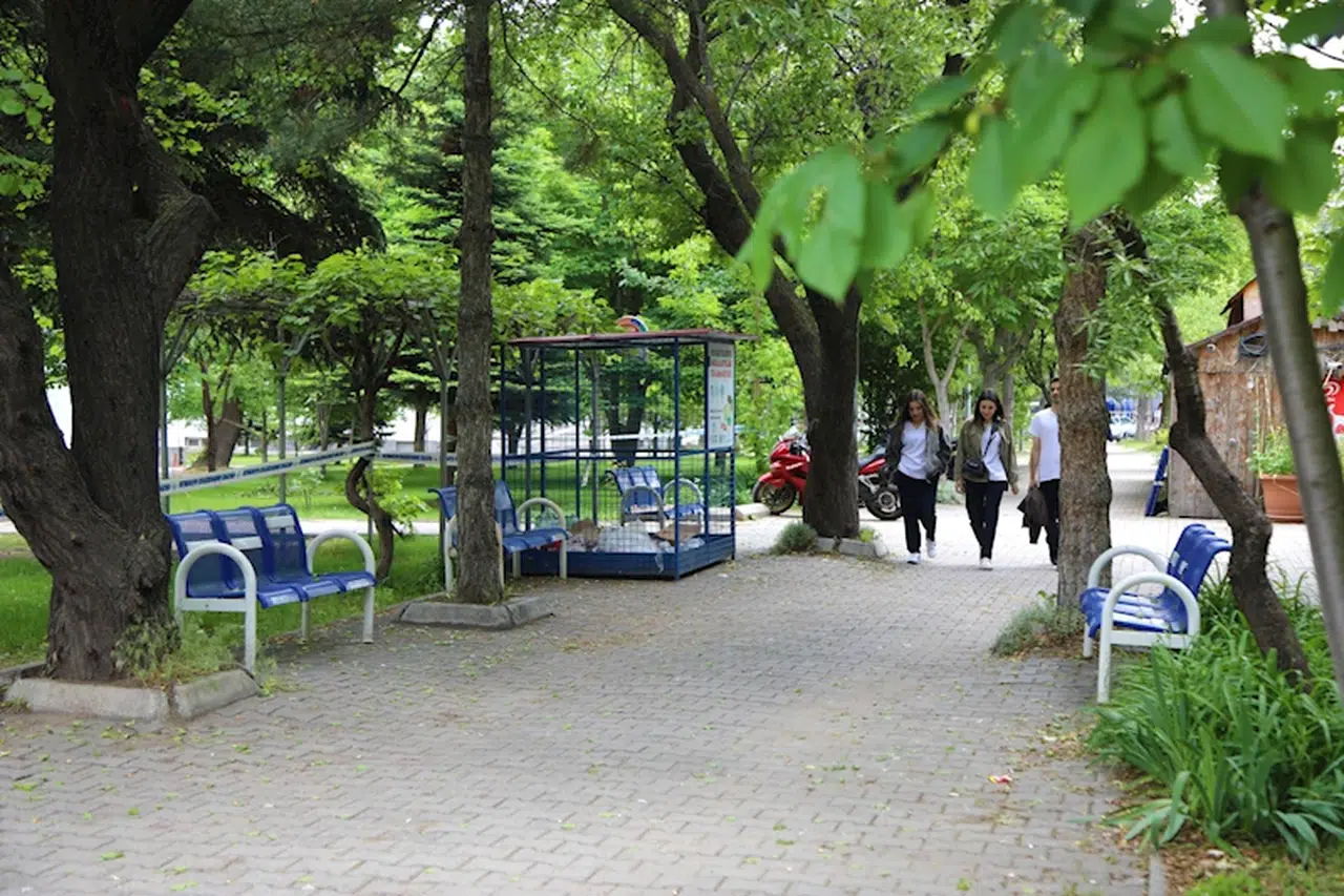 2023 Yeşil Üniversite Endeksi'de, ilk 100'de 6 Türk üniversitesi yer aldı