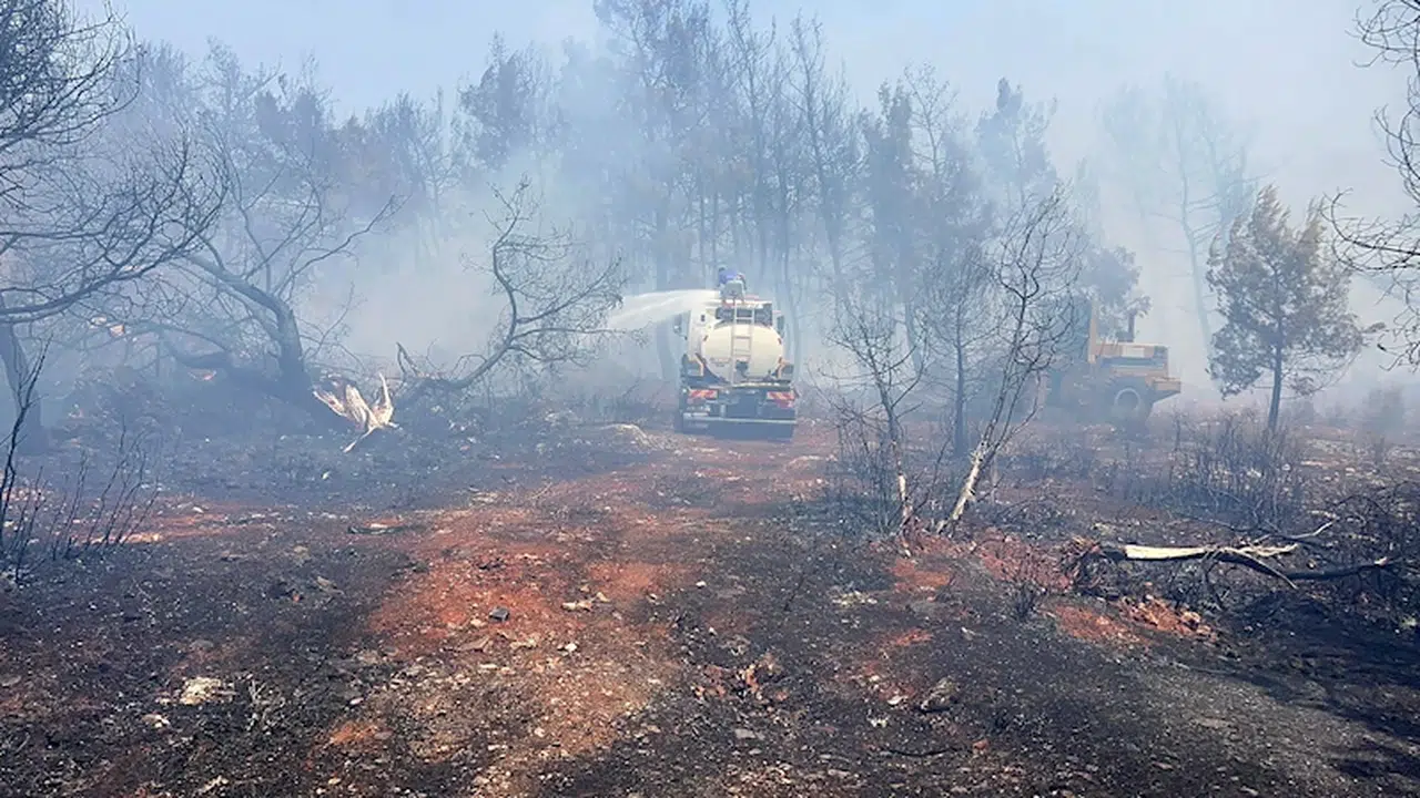 Antalya'da iki ayrı noktada yangın