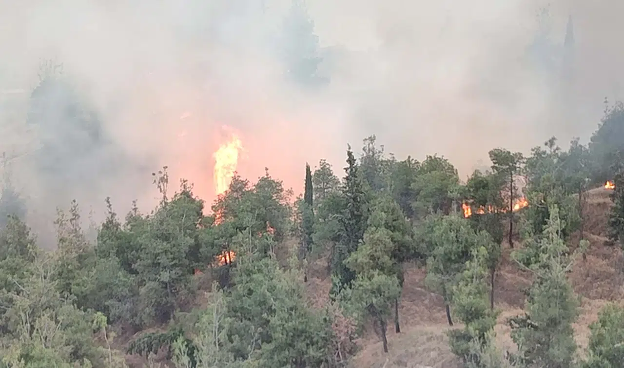 Denizli'de orman yangını (2)