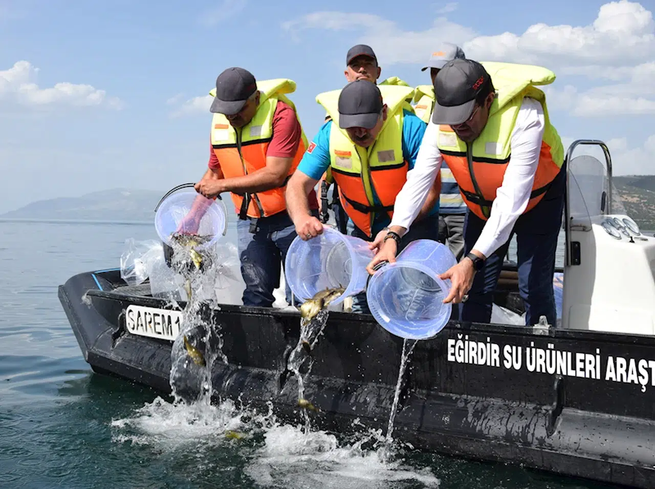 Eğirdir Gölü'ne 5 bin sazan bırakıldı 