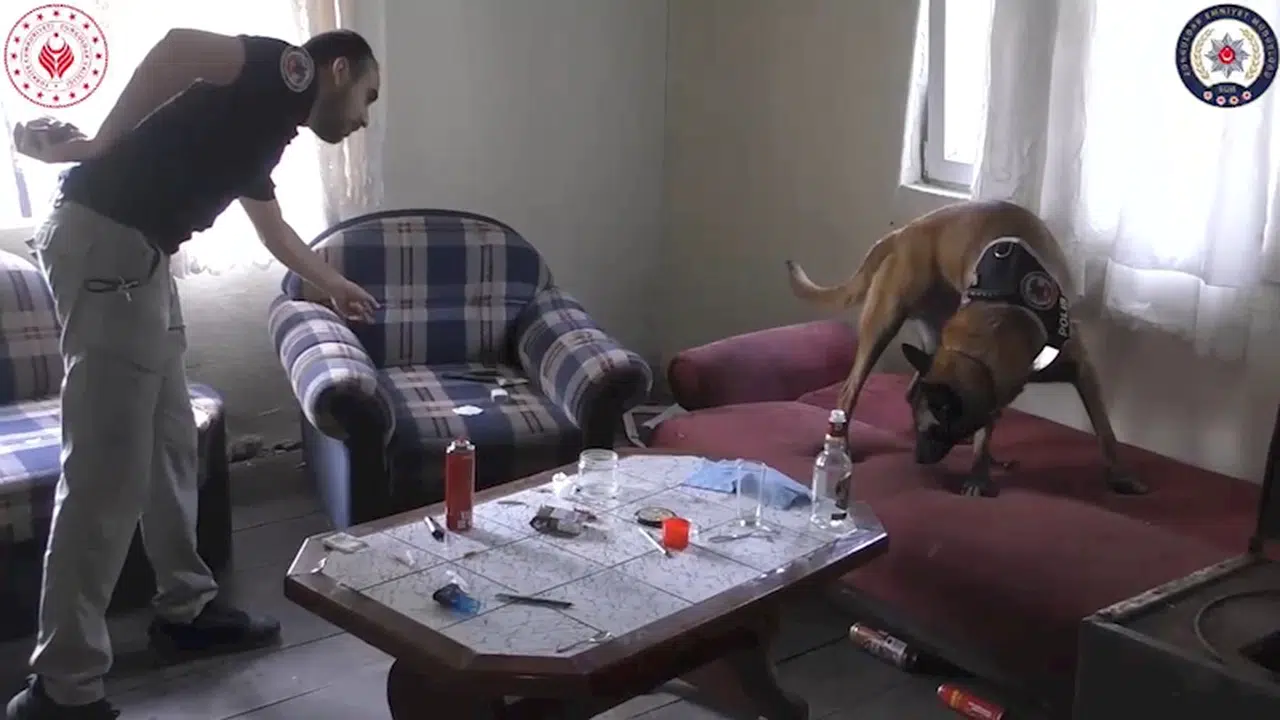 Zonguldak'ta uyuşturucuya 3 tutuklama