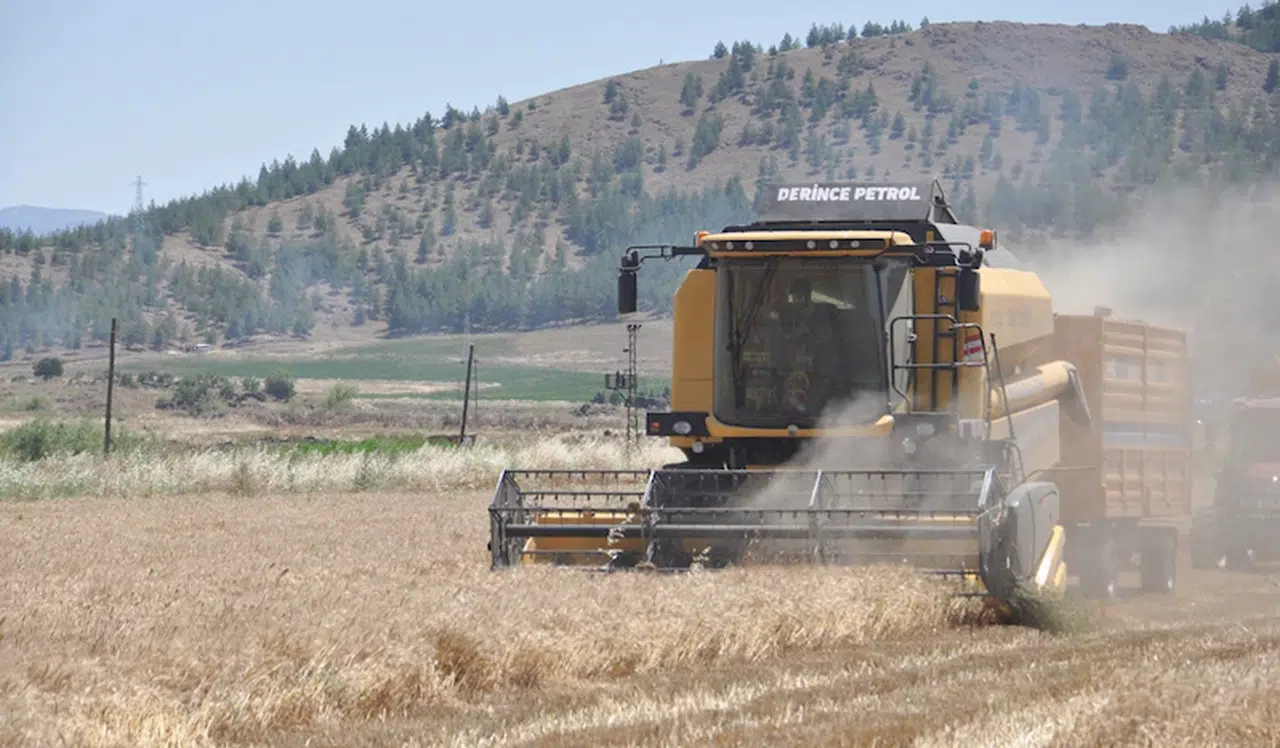 Gaziantep’te, arpa ve buğday hasadı sürüyor