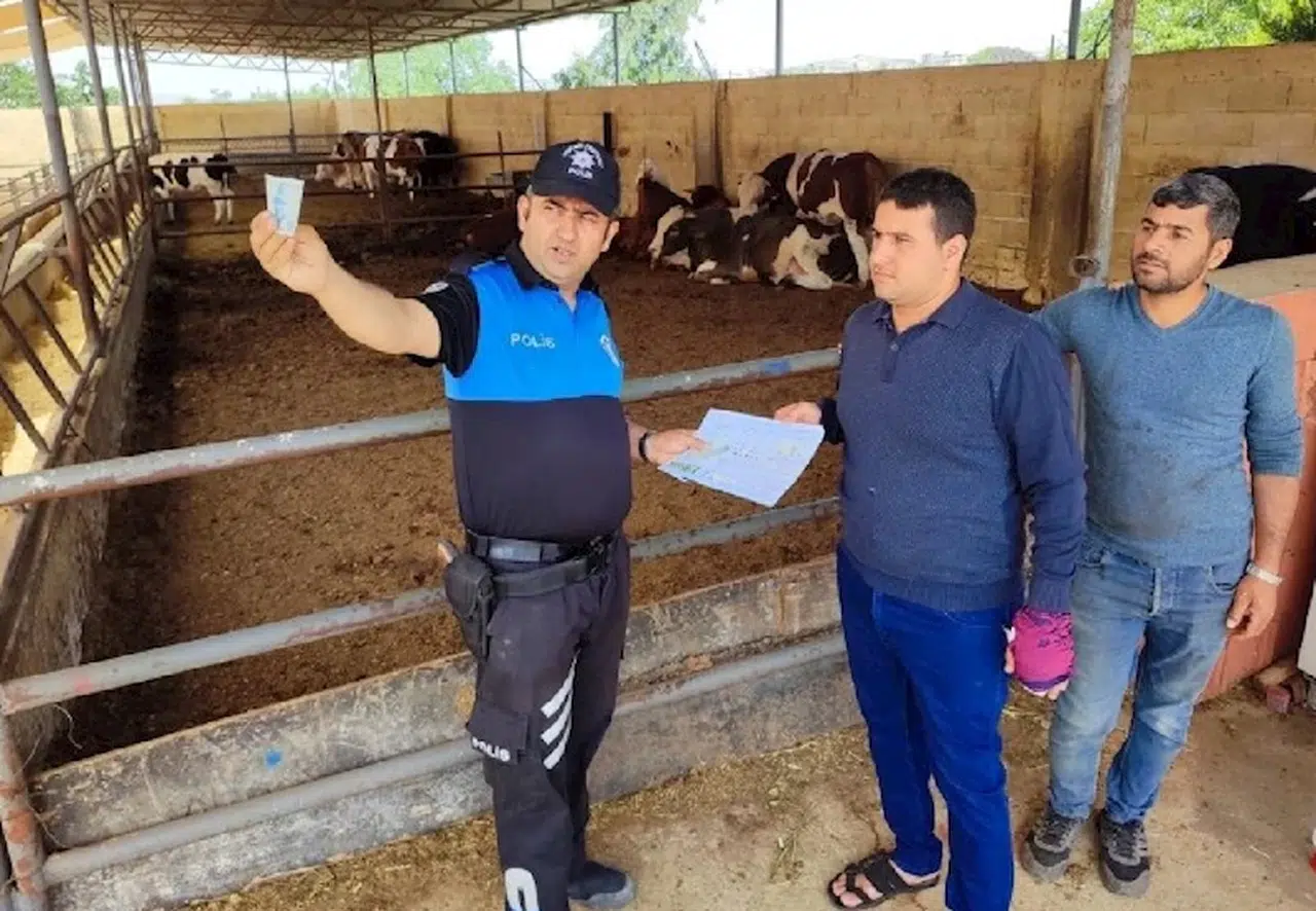 Kilis'te kurban satıcılarına 'sahte para' uyarısı 