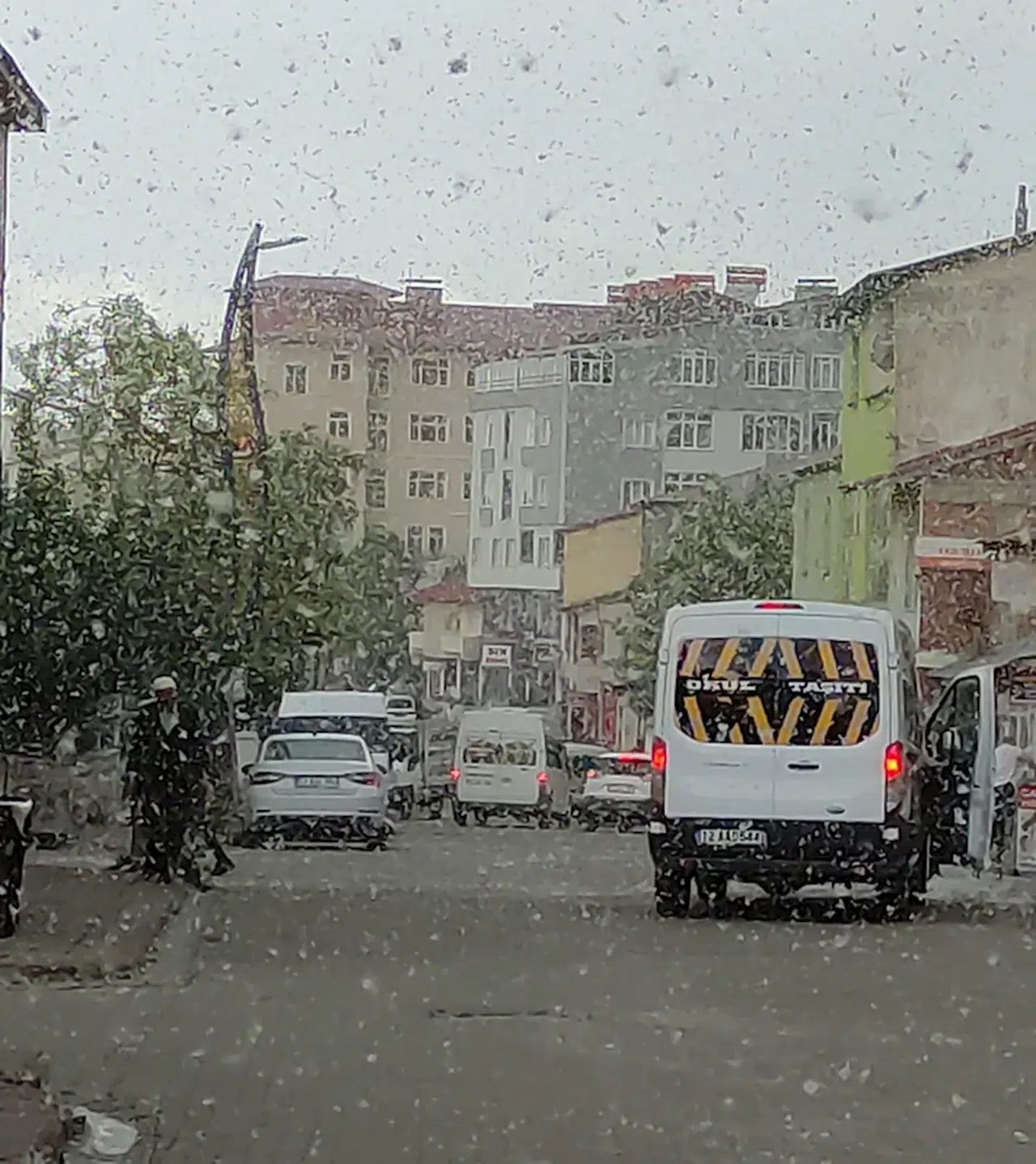 Bingöl'de kavak ağacı pamukçukları havada uçuştu