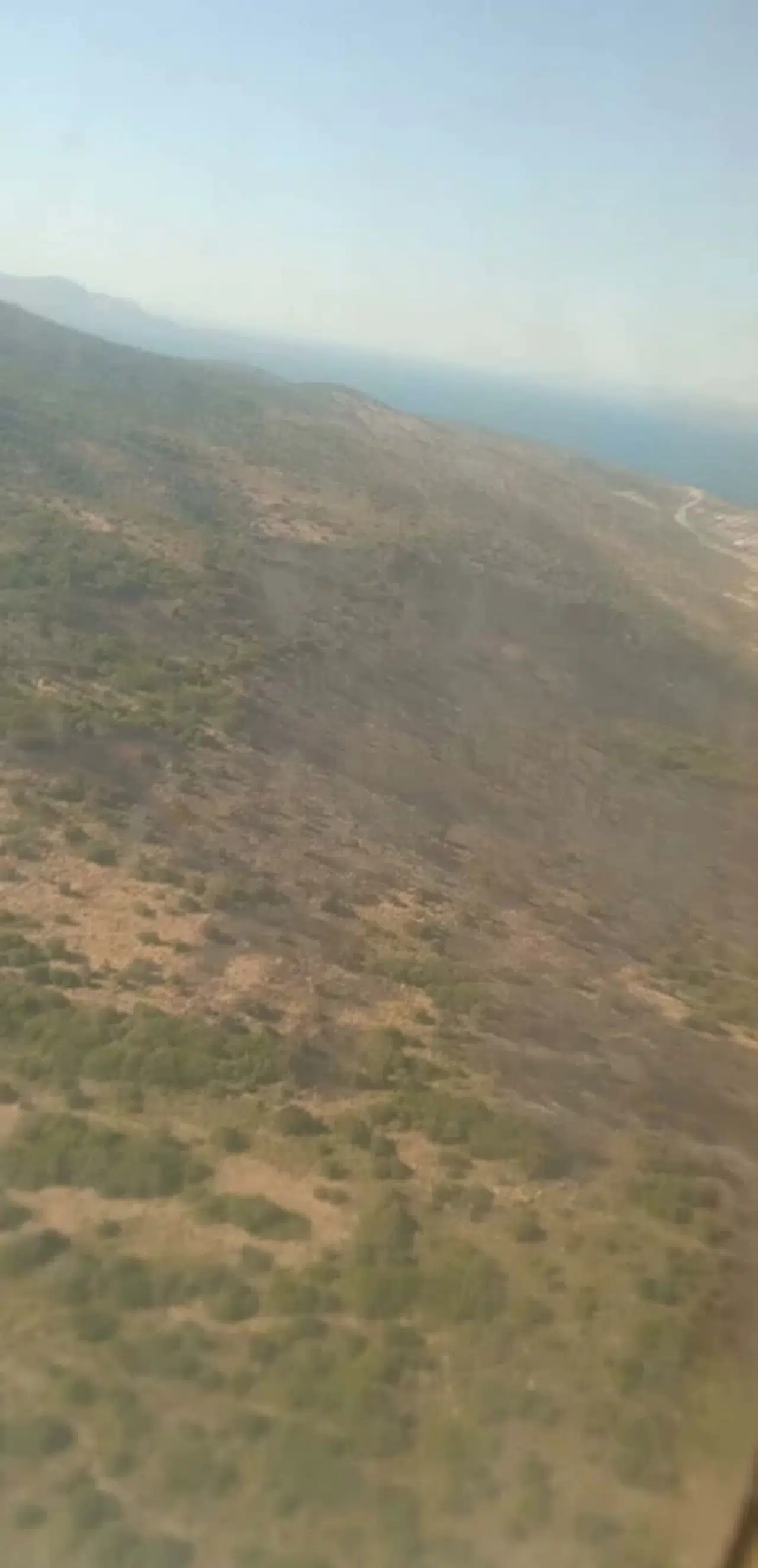 Urla'da orman yangını (2) 