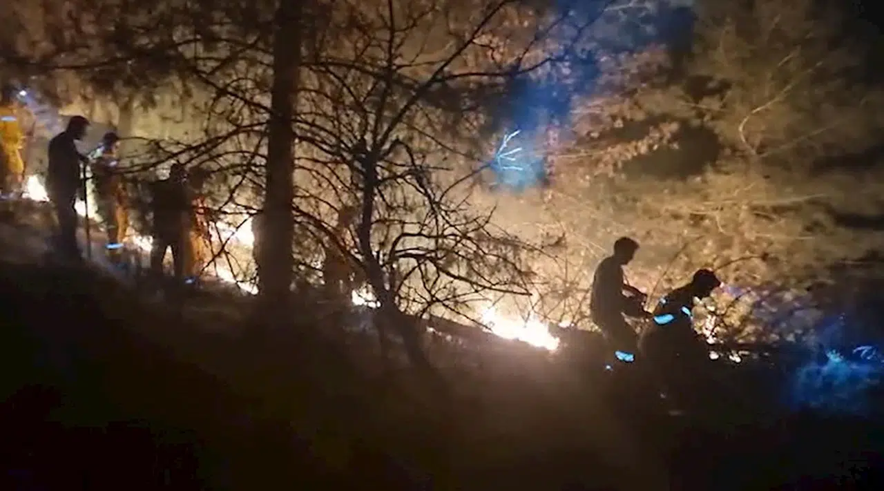 Aydın'da dün gece çıkan orman yangını 6 saatte söndürüldü; 26 hektar alan zarar gördü