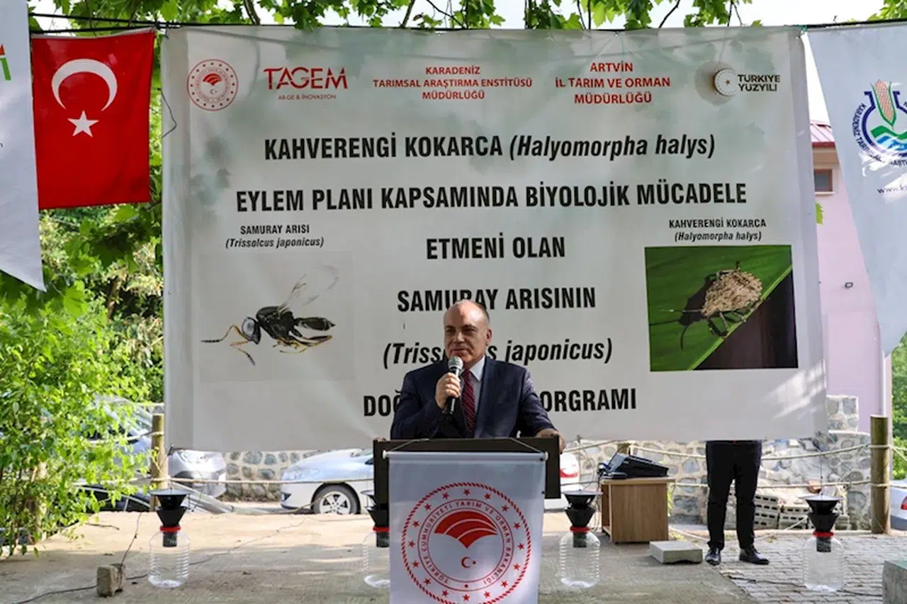 Artvin'de doğaya 12 bin samuray arı salındı