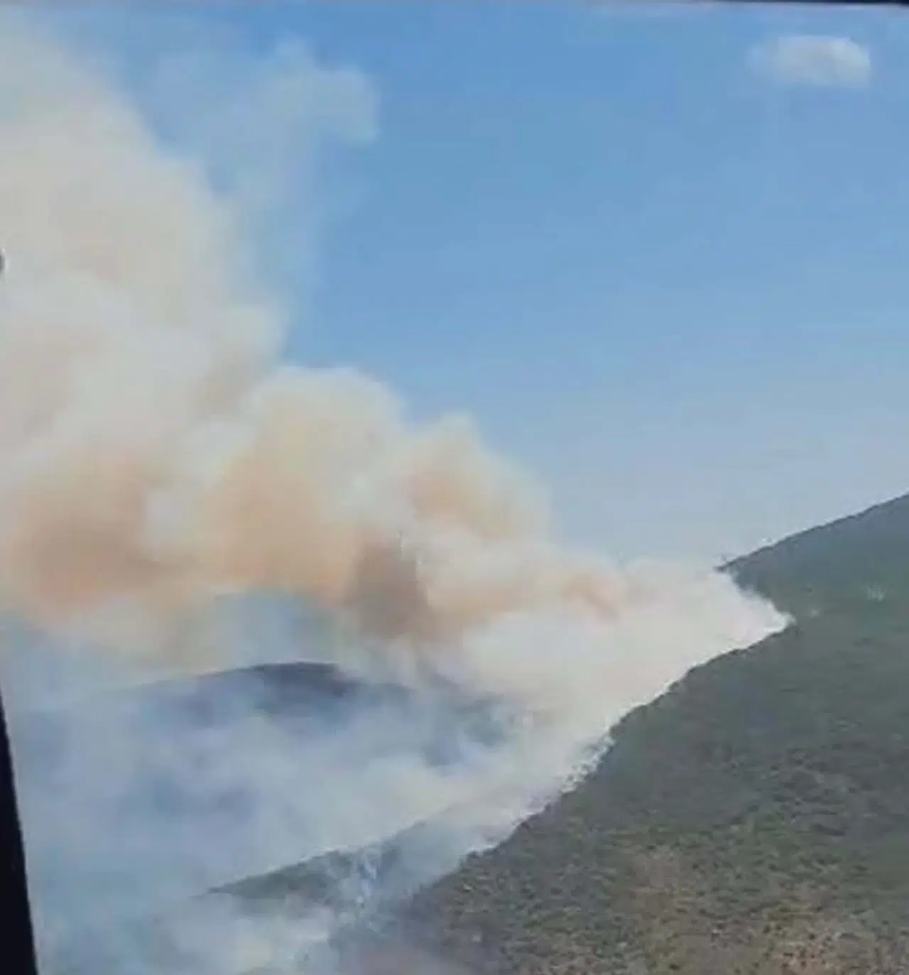 Urla'da orman yangını