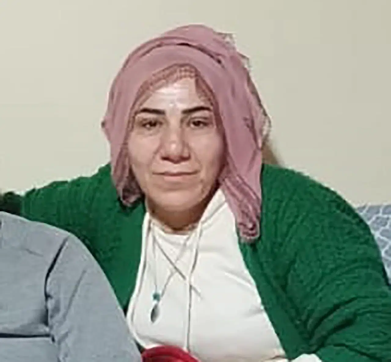 Arazi tartışmasından üvey annesini öldüren sanığa 'haksız tahrik' ve 'iyi hal' indirimli ceza