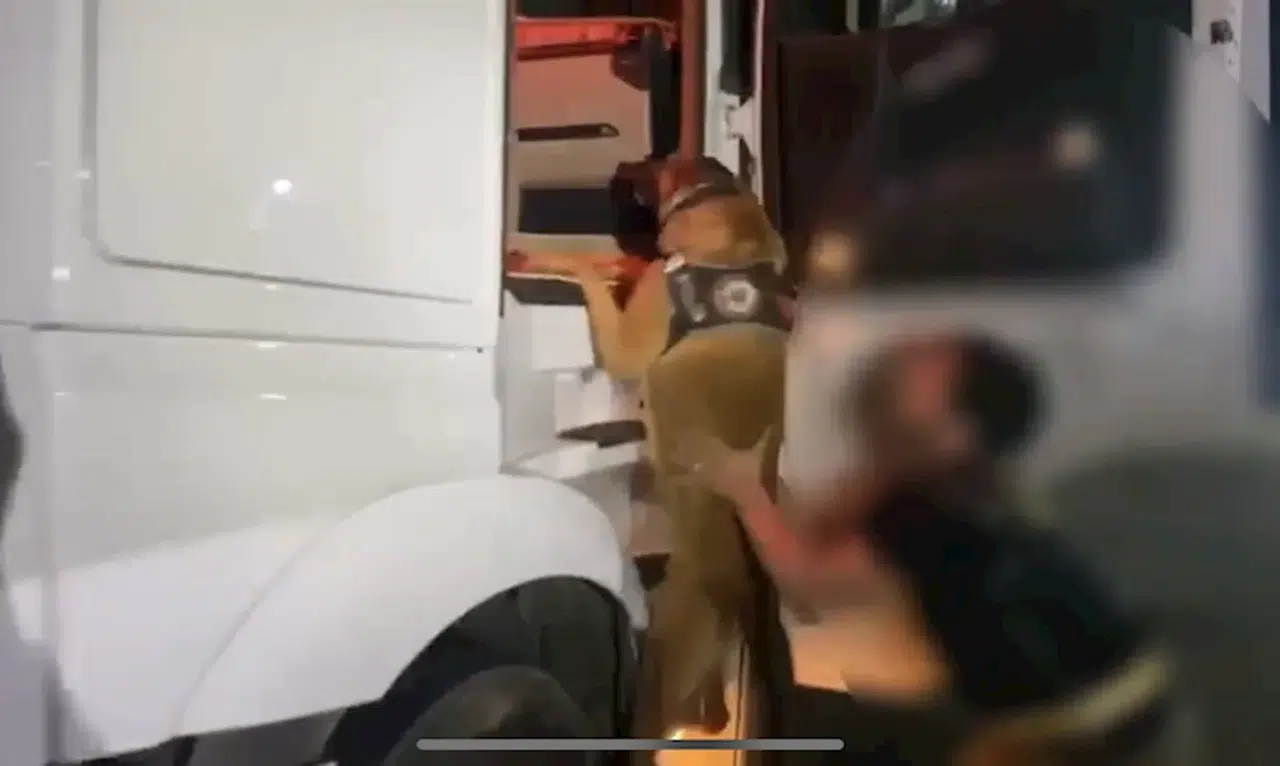 Osmaniye’de yolcu otobüsü ve TIR’a uyuşturucu operasyonu, 2 tutuklu 