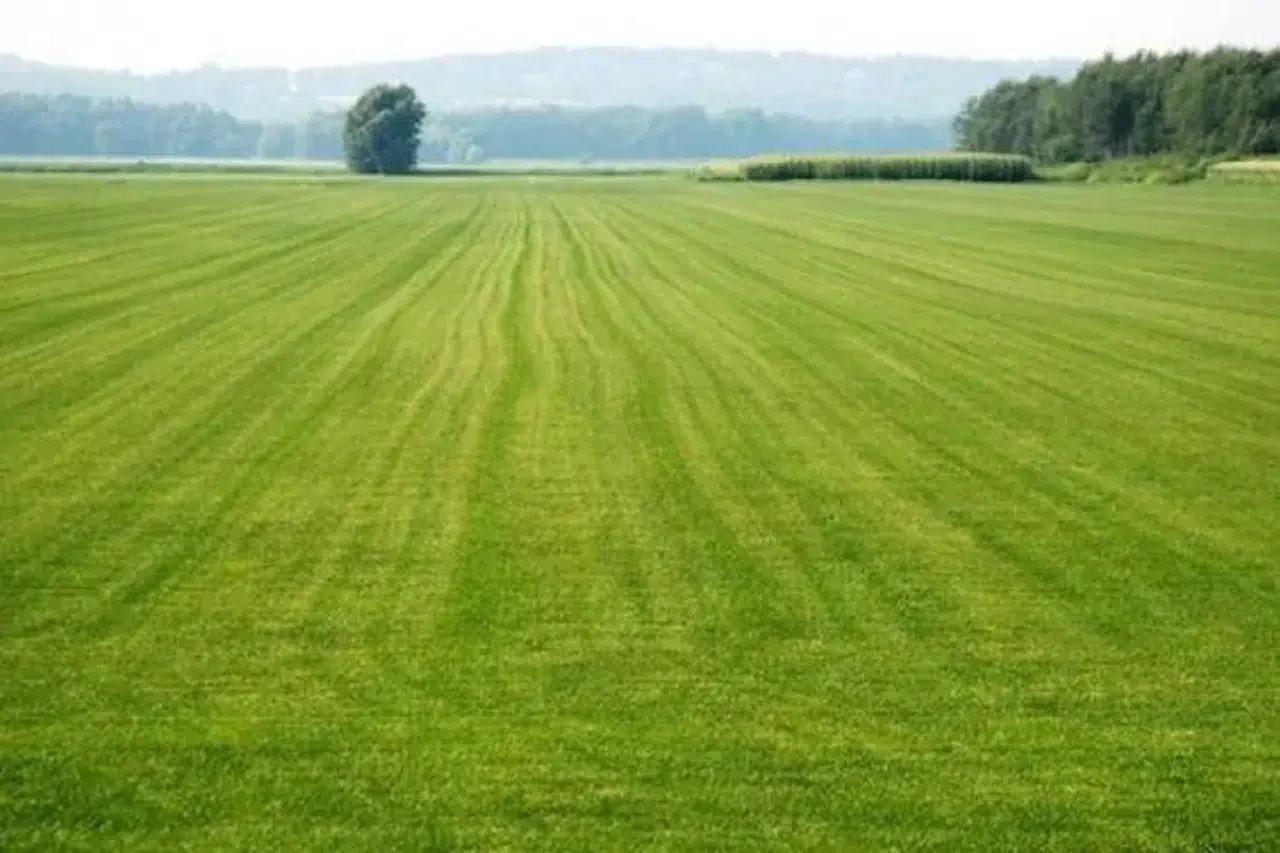 Orhaneli'de 3.199 Metrekare Tarla Satışa Çıkarıldı!